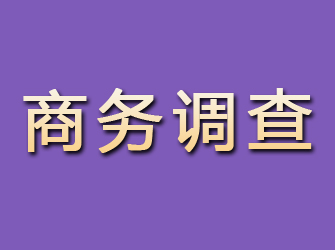 黄埔商务调查